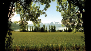 Chile: tierra de diversidad