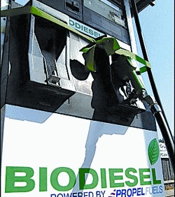 Biofuel Snapshots
