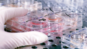 Residue Studies And GLP In Brazil