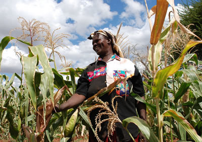 Africa Report: South Africa