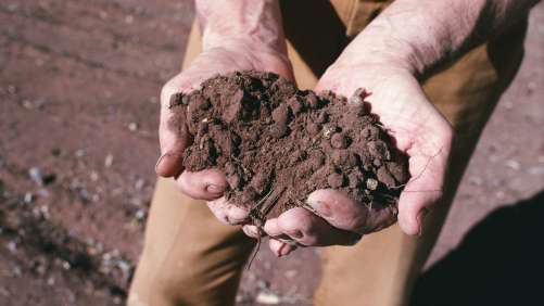 EU: Report Calls for Urgent Transition to Regenerative Agriculture