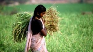 Food Production Prioritized in India