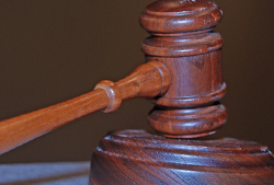 Monsanto Wins Patent Infringement Suit Against DuPont