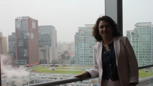 Brazil Looks to Boost Agricultural Trade with China