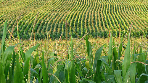 U.S. Imports of Formulated Crop Protection Products