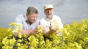 EU Proposes Ban on Neonicotinoids; Syngenta, Bayer Respond