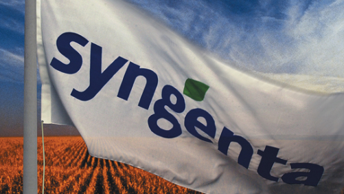 Extreme Weather Hits Syngenta Sales