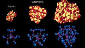 Starpharma, Makhteshim Agan Pair Up on New Formulations