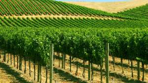 Becker Underwood Ups Sustainability Ante in South Africa