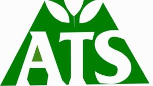 Capitalizing on Africa’s Growing Market