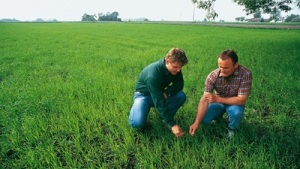 Bayer to Build Glufosinate-Ammonium Herbicide Plant