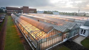 Fungicide Demand Powers Bayer CropScience Results