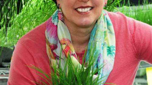 Marrone Bio Innovations Announces Registration of Bioinsecticide Venerate in California