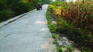 Why Glyphosate  Prices Are Rising