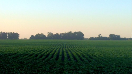 Understory Partners with Monsanto in Argentina