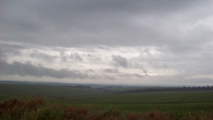 Booming Brazil Powers CropScience Sales