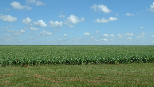 Dow AgroSciences recibe el registro de la EPA para Powercore