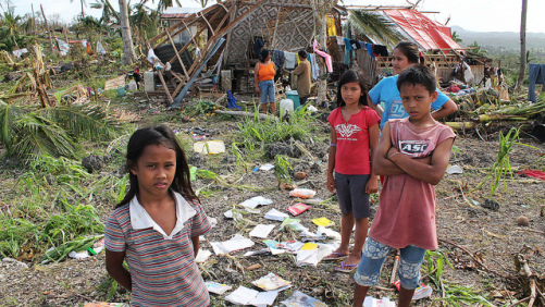 FAO: Severe Damage to Agriculture after Typhoon Haiyan