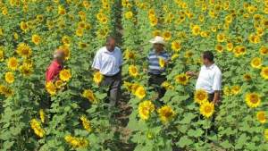 Azerbaijan Looks to Rejuvenate Agricultural Sector