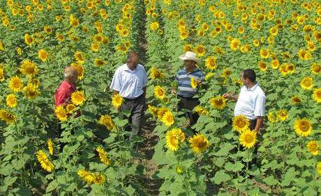 Azerbaijan Looks to Rejuvenate Agricultural Sector