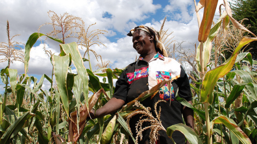 Global Research Consortium Doubles Funding to $1 Billion