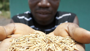 East Africa Engineers Agriculture Reform