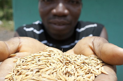 East Africa Engineers Agriculture Reform