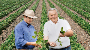 Brazilian Farmers Increase Bartering for Ag Chemicals