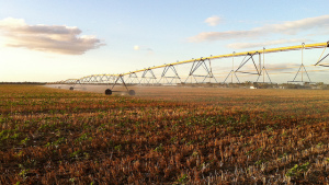 Drought in Australia Hits Nufarm Profit