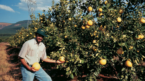 Bayer to Provide Relief for Smallholders Impacted by COVID-19