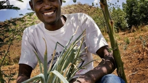 Africa Registration Guide: Kenya in Drive to Harmonize Pesticide Registration