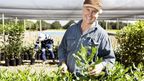 BASF Begins Direct Distribution in Australia