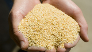 Bayer CropScience to Acquire Argentinian Seed Treatment Company