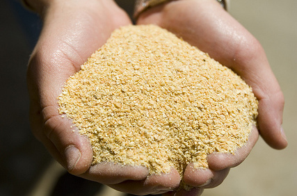 Bayer CropScience to Acquire Argentinian Seed Treatment Company