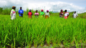East Africa Has Promising Future, Despite Hiccups