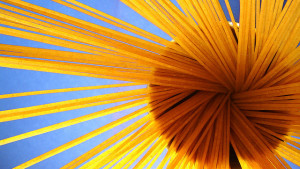 Syngenta Acquires Italian Seed Company PSB