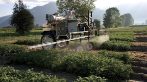 High Insect, Weed Pressure Lifts Syngenta Sales to $4.7 Billion