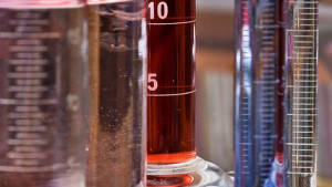 SGS Opens New GLP Testing Stations in Poland