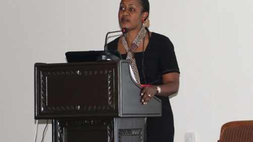 Tanzania Horticulture Agency Calls for Affordable Farm Technology