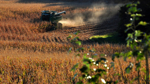U.S. Crop Protection Market Jumps 8.2% in 2013 – Kline & Co.