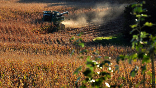 El mercado de protección de cultivos de EE. UU. Aumenta 8.2% en 2013 - Kline & Co.