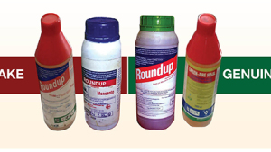 Kenya Shifts Focus in Fight Against Counterfeits