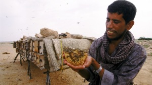 Pollinators Growing Issue for Congress, CropLife America