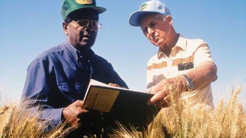 Rajaram Wins World Food Prize