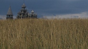 Grain Crop from Black Sea Countries To Be 168.5 MMT