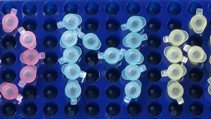 拜耳获得 Ceres DNA 软件