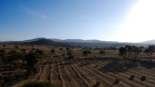 Two Quick Questions for Mexico’s Top Crop Protection Association on New Tax, Growth