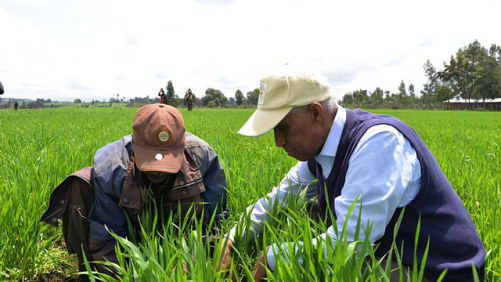 Yara Prize Honors Leadership for the Future of Farming