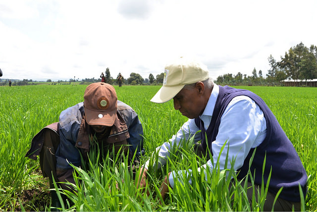 Corya Yara Prize Honors Leadership for the Future of Farming - AgriBusiness ...