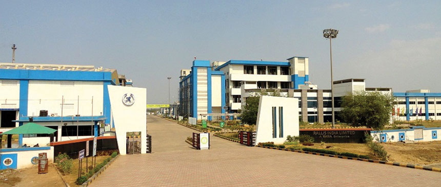 Planta Rallis em Dehej